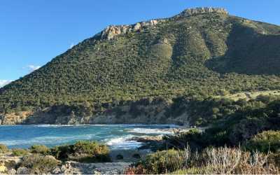 Maraton Jeep Safari Najważniejsze atrakcje Pafos z Pafos